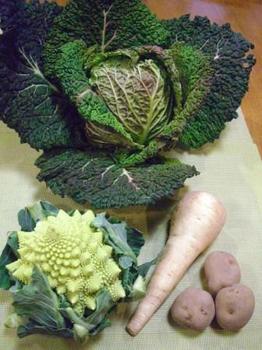 2013 １月３１日　めずらしい野菜 001野菜.jpg